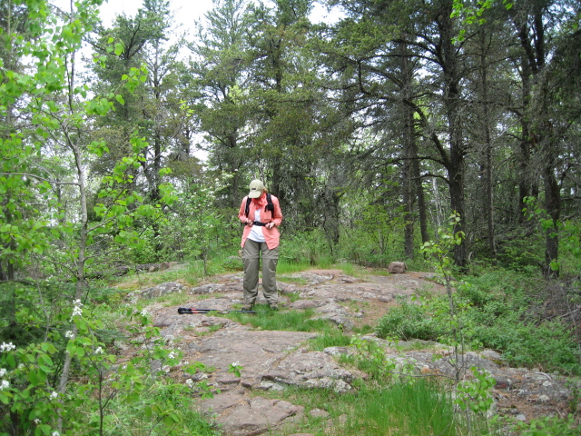 Minnesota
